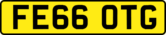FE66OTG