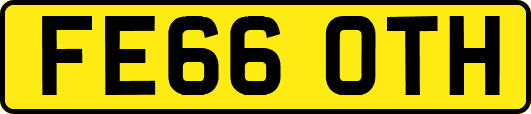 FE66OTH