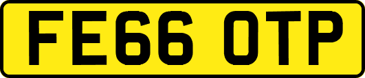 FE66OTP