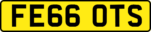 FE66OTS