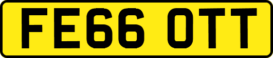 FE66OTT