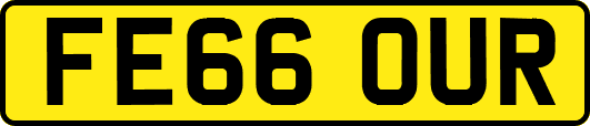 FE66OUR