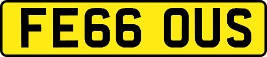 FE66OUS
