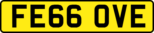 FE66OVE