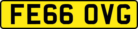 FE66OVG