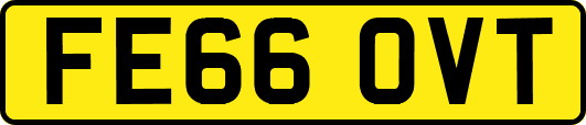 FE66OVT