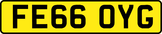 FE66OYG