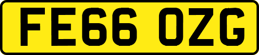 FE66OZG