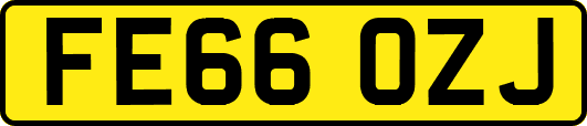 FE66OZJ