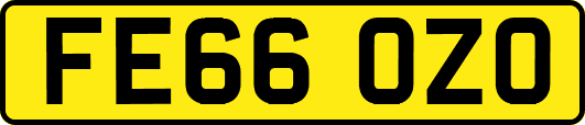 FE66OZO