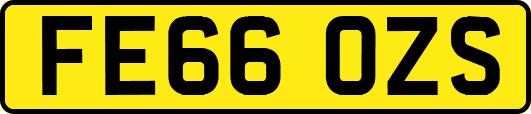 FE66OZS