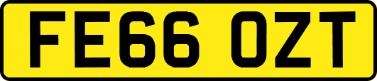 FE66OZT