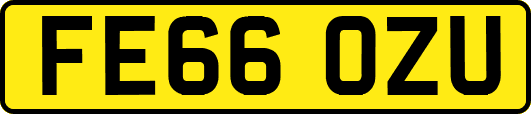 FE66OZU