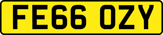 FE66OZY