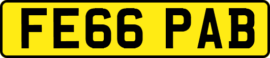FE66PAB
