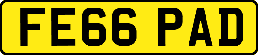 FE66PAD