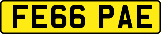 FE66PAE