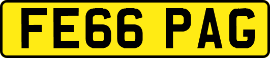 FE66PAG