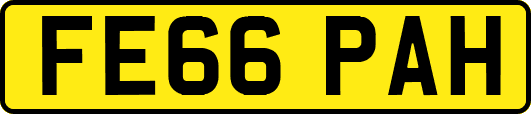 FE66PAH