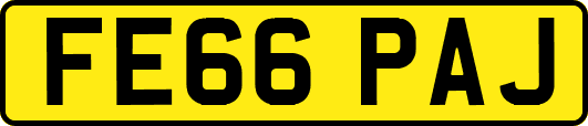FE66PAJ