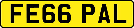 FE66PAL