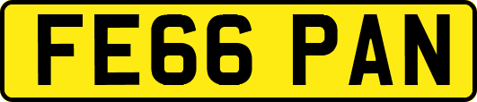 FE66PAN