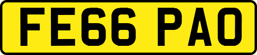 FE66PAO