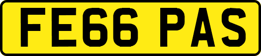 FE66PAS