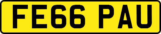 FE66PAU