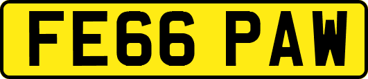 FE66PAW