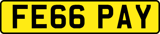 FE66PAY