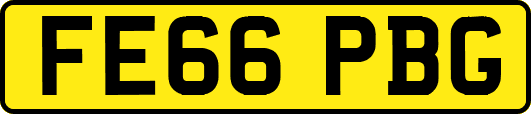 FE66PBG