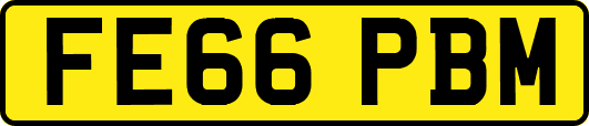 FE66PBM