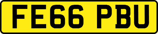 FE66PBU
