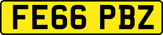 FE66PBZ