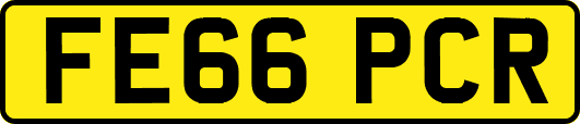 FE66PCR