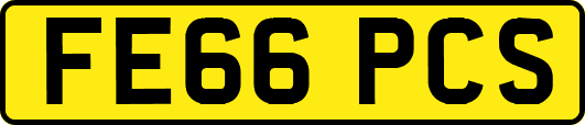 FE66PCS