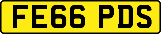 FE66PDS