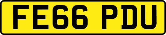 FE66PDU