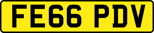 FE66PDV