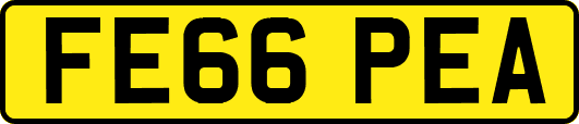 FE66PEA