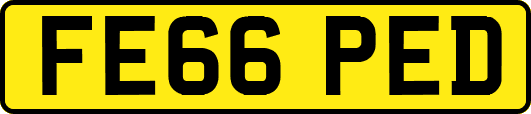 FE66PED