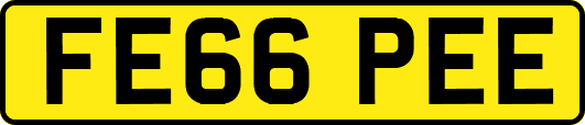 FE66PEE