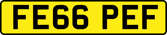 FE66PEF