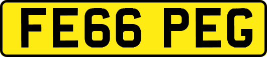 FE66PEG