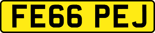 FE66PEJ