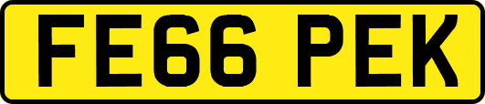 FE66PEK