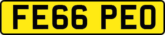FE66PEO