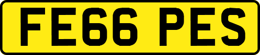FE66PES