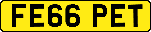 FE66PET